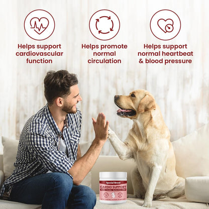 Special Breed Cardio Support for Dogs – – Coenzyme Q10 (CoQ10): A powerful antioxidant that supports cellular – Image 3