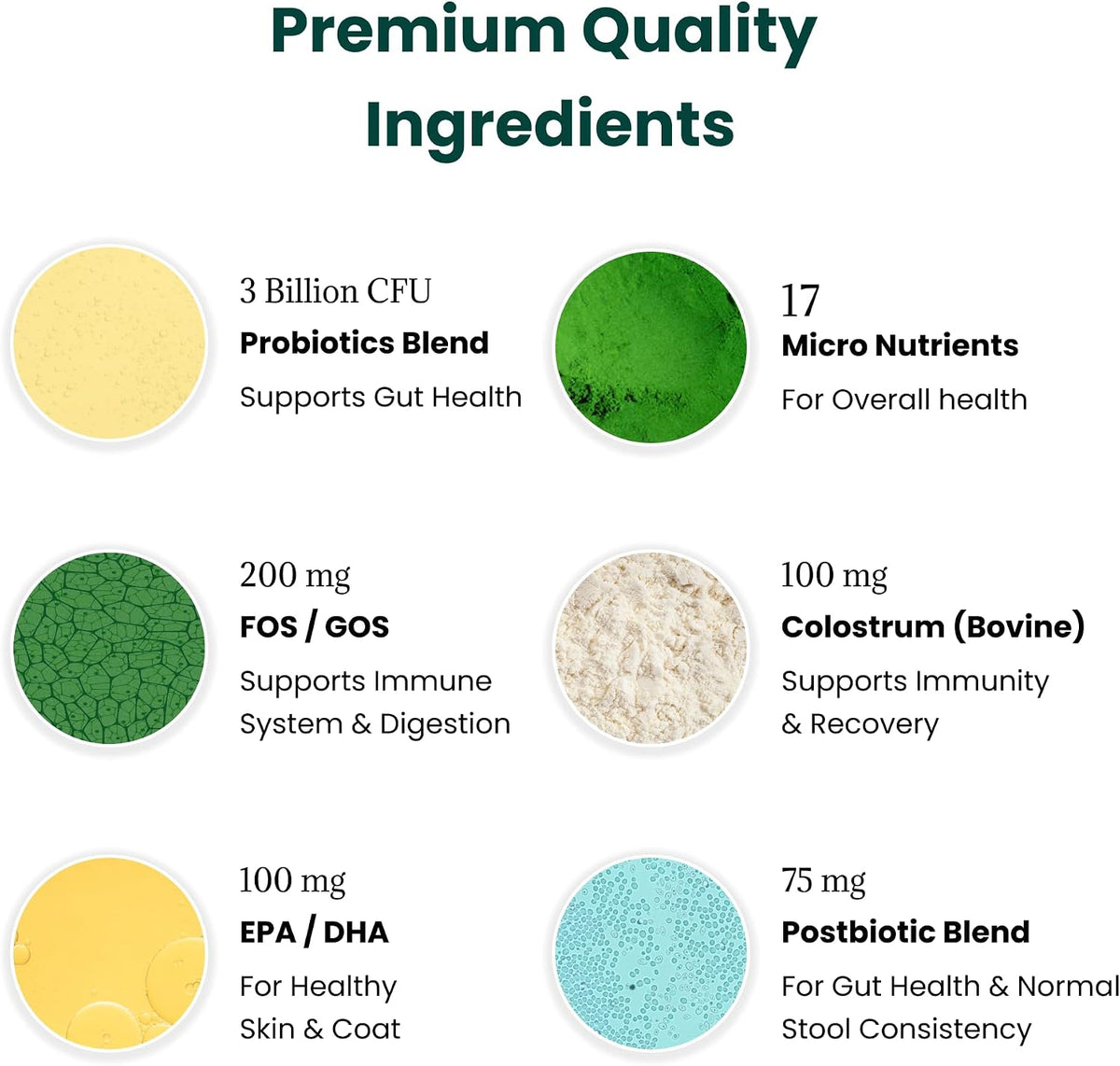 Paw Balance Dog Probiotics and Multivitamin Chews – Digestive Health, Immune Support, Allergy Relief, 60 Soft Chews – Image 3