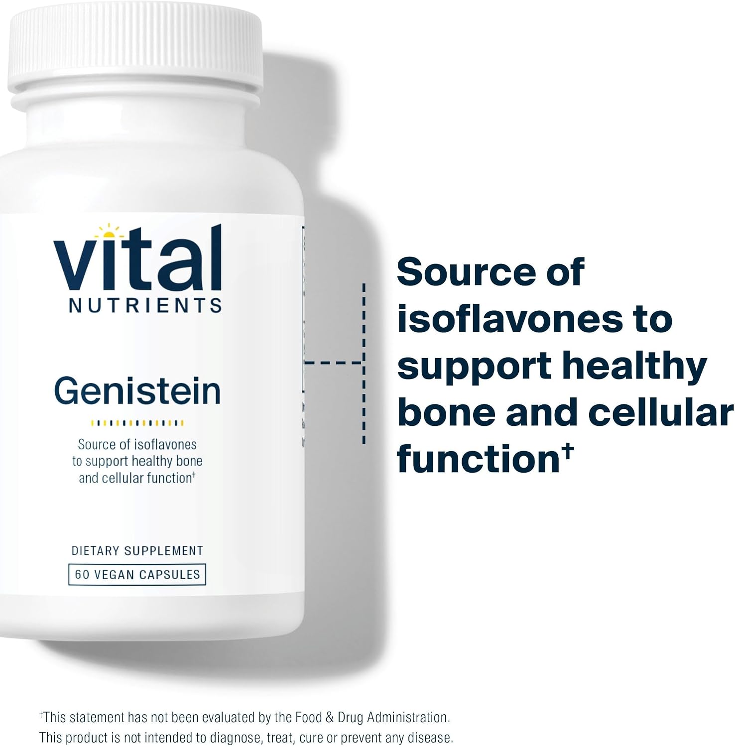 Vital Nutrients Genistein – Easily Absorbed Isoflavones for Bone Health Support – Vegan, Non-GMO, Gluten & Dairy Free – 60 Capsules - görsel 4