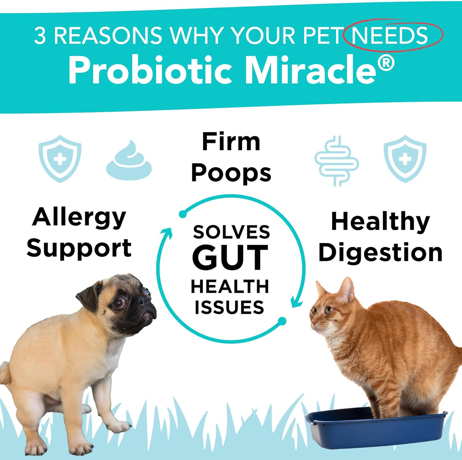 NUSENTIA Probiotic Miracle for Dogs (360 Scoops) - görsel 2