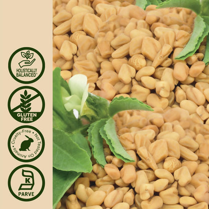 Nature's Answer Fenugreek Seed Extract – Liquid, 30 ml