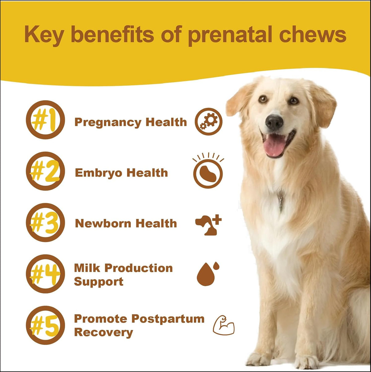 Dog Prenatal Vitamins for Pregnant & Nursing – Enhances oxygen transport: Iron helps prevent anaemia and ensures – Image 5