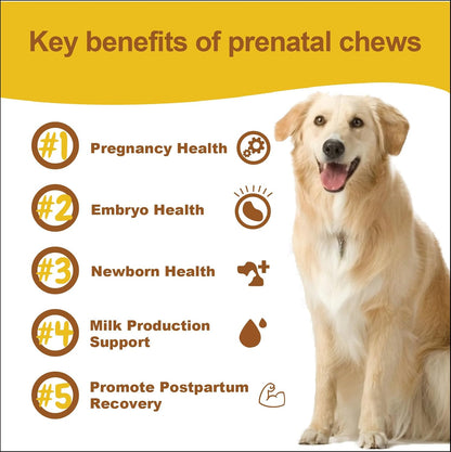 Dog Prenatal Vitamins for Pregnant & Nursing – Enhances oxygen transport: Iron helps prevent anaemia and ensures – Image 5