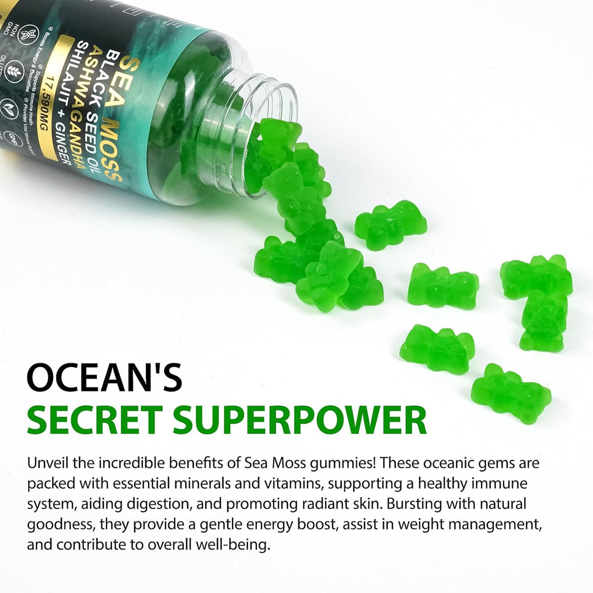 Sea Moss Gummies, Sea Moss, Bladderwrack, – South African Eggplant : Traditionally used for its anti-inflammatory – Image 6