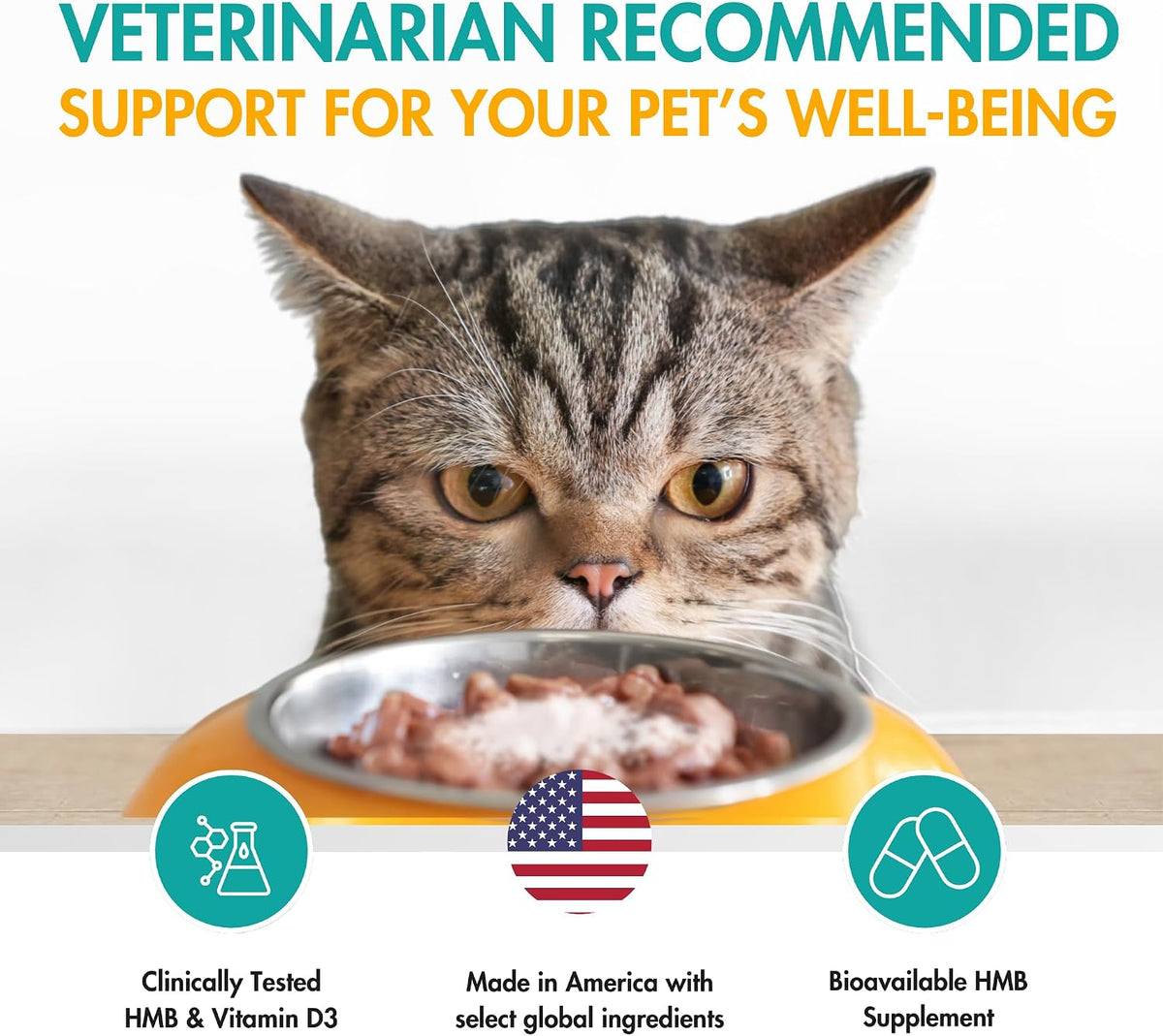 AminAmend Muscle Support Pet Supplement for Small Dogs and Cats with CaHMB and Vitamin D3 – 30 Capsules – Image 4