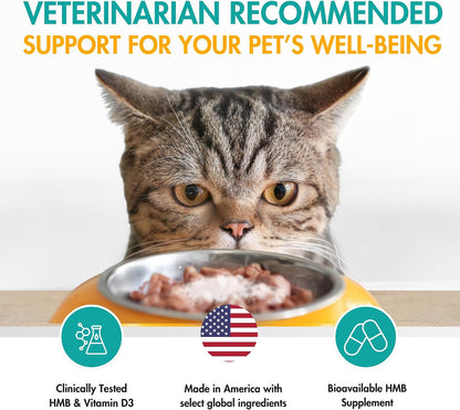 AminAmend Muscle Support Pet Supplement for Small Dogs and Cats with CaHMB and Vitamin D3 – 30 Capsules – Image 4