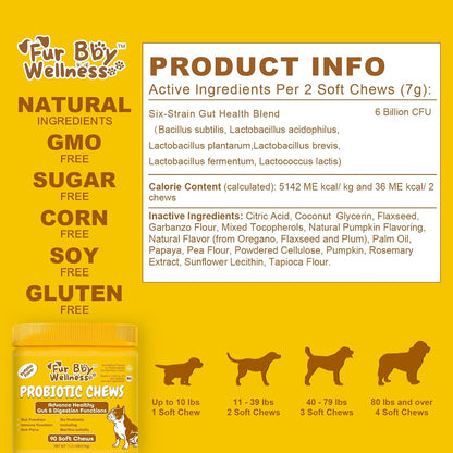 Vet Strength Probiotics for Dogs - Fast – Immune Boost: About 70% of the immune system is in the gut. By – Image 2