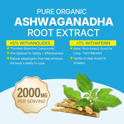 Organic Ashwagandha Gummies with Vitamin D3, B12 & Turmeric – Sugar Free, Vegan, Mixed Berry Flavour – 120 Count