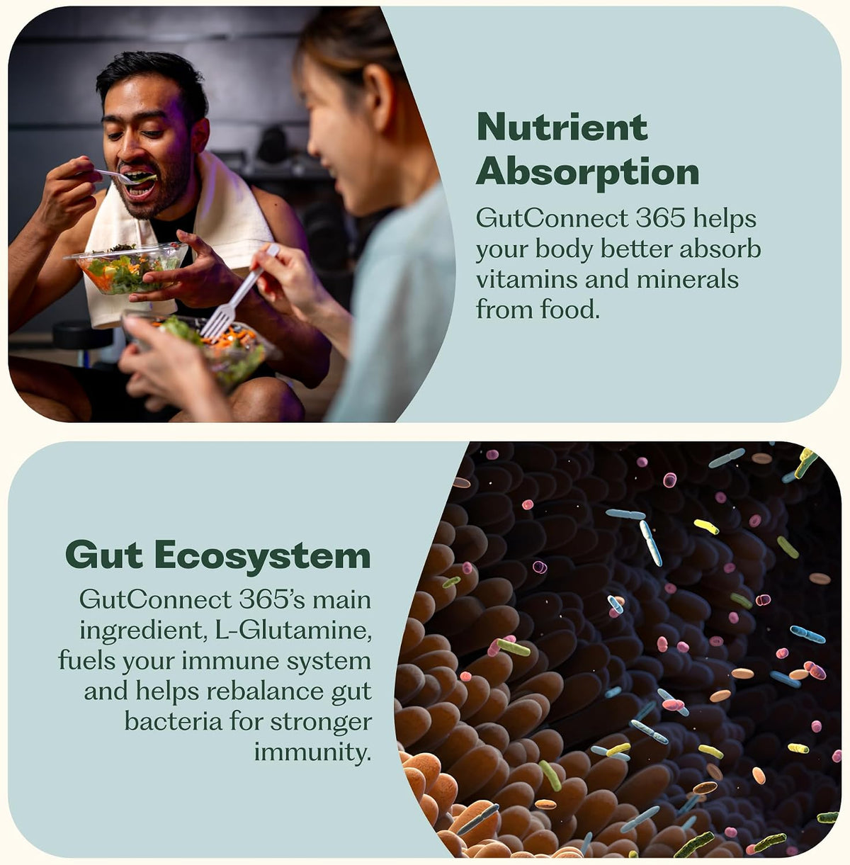 Nature M.D. GutConnect 365 – Chocolate – Promotes Total Body Wellbeing – Gut health is linked to brain and skin – Image 5