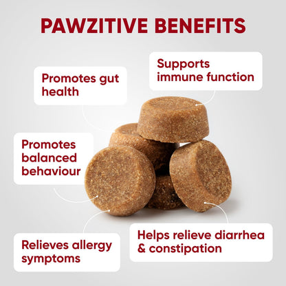 Pawzitive Pets Probiotics for Dogs - – Skin and Coat Health: A balanced gut can lead to less itching and a shinier – Image 3