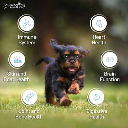 Freeze-Dried Dog Multivitamin – Probiotics, – Omega-3 Fatty Acids and Biotin – Omega-3s nourish the skin and coat, – Image 2