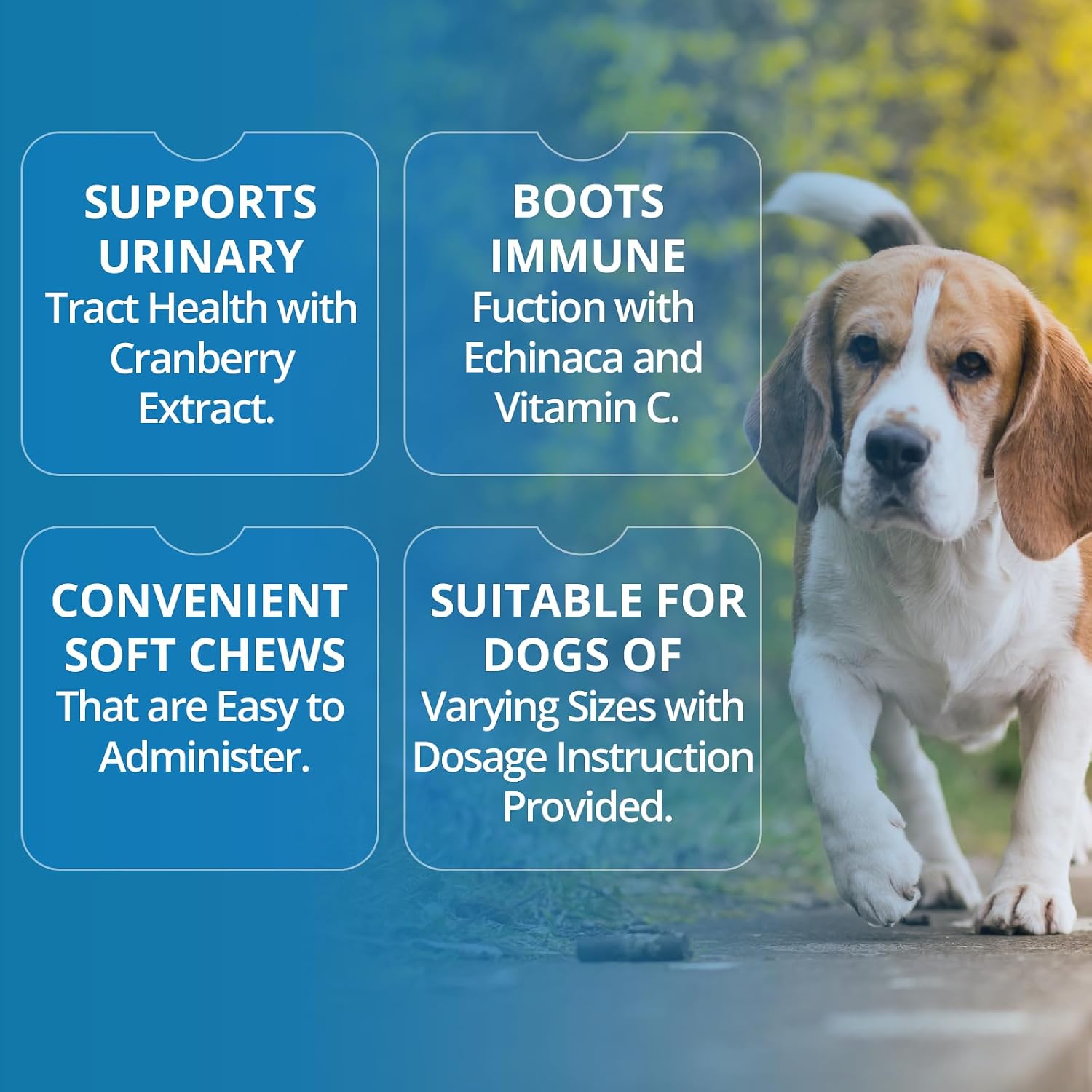 Replenish Urinary Tract Chews for Dogs - Cranberry Extract - 60 Chews - görsel 4