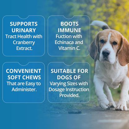 Replenish Urinary Tract Chews for Dogs - Cranberry Extract - 60 Chews