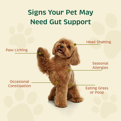 Spirited Paw Probiotic + Gut Health - Digestive and Immune Support for Dogs and Cats - Prebiotic, Probiotic and Postbiotic Pet Care Blend with Organic Buckwheat and Chicory Root Fibre - 90 Capsules