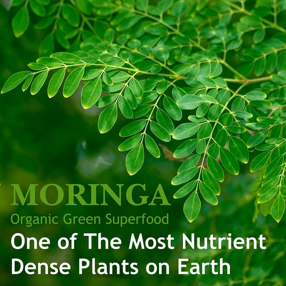 Organic Moringa Capsules 1000mg – 120 Capsules - görsel 5