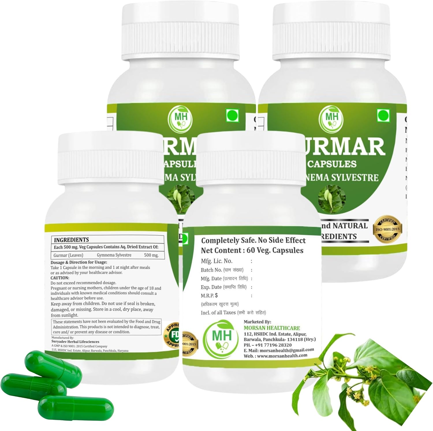 Morsan Healthcare Gurmar (Gymnema sylvestre) 500mg Capsules – 240 Vegan Capsules - görsel 4