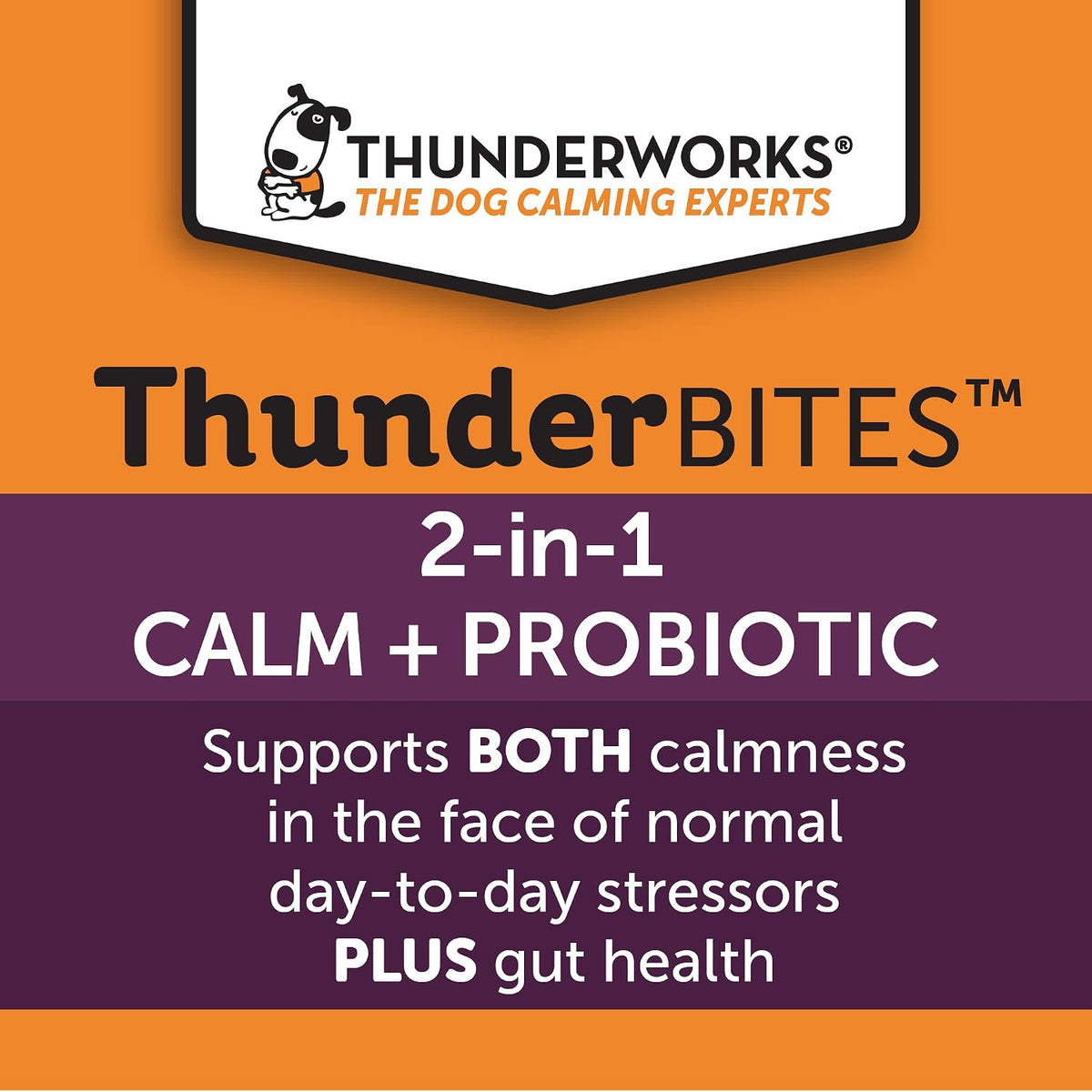 ThunderBites Calm + Probiotics for Dogs – Provide antioxidant support – Certain ingredients offer protective – Image 4