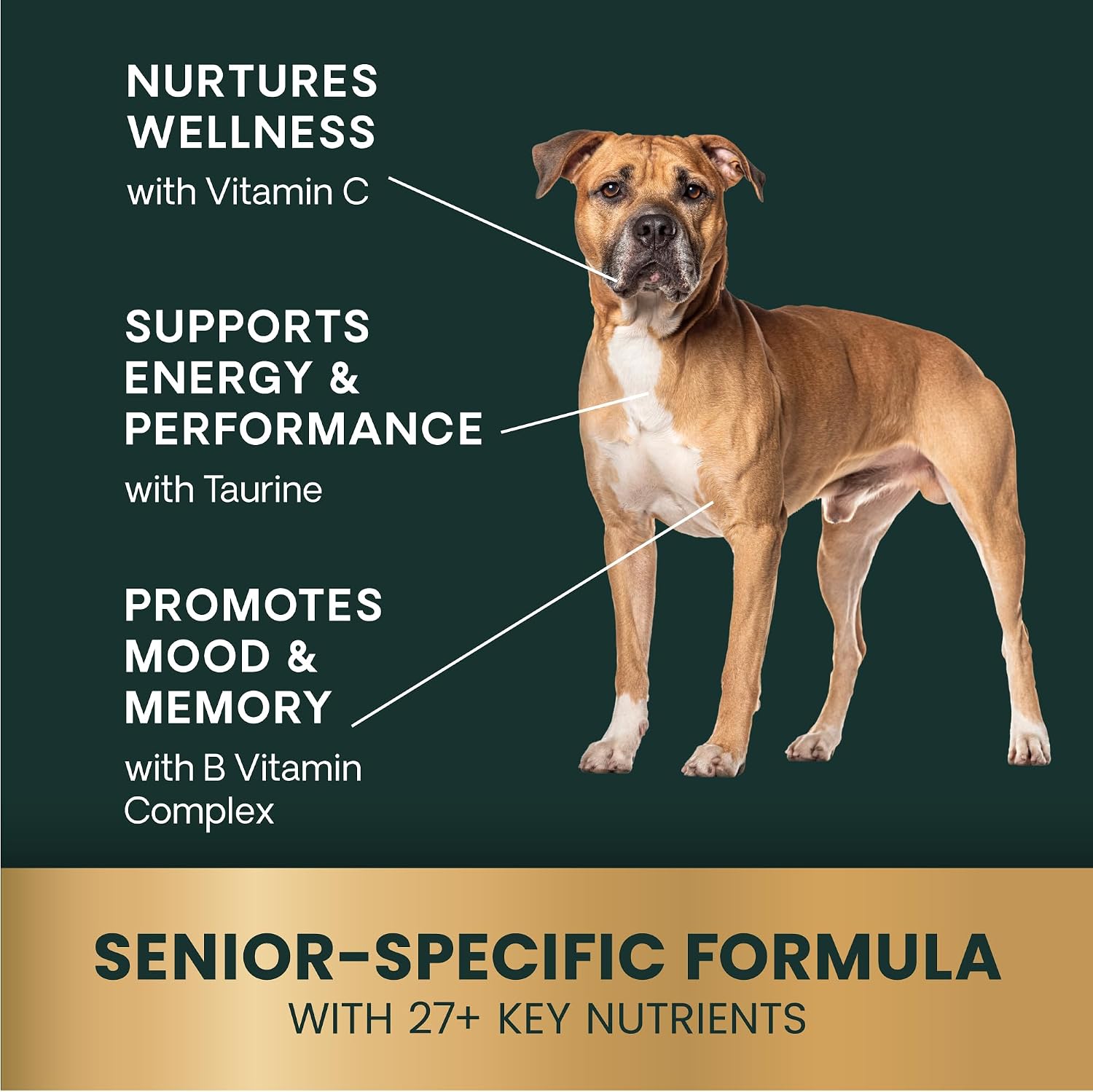 VetriScience Extra Strength Senior 27+ Active Health Chews, Golden Years Daily Multivitamin for Senior Dogs, Balanced Vitamins, Minerals, and Omega-3s, Ageing and Wellbeing Support, Chicken, 60 Count - görsel 4