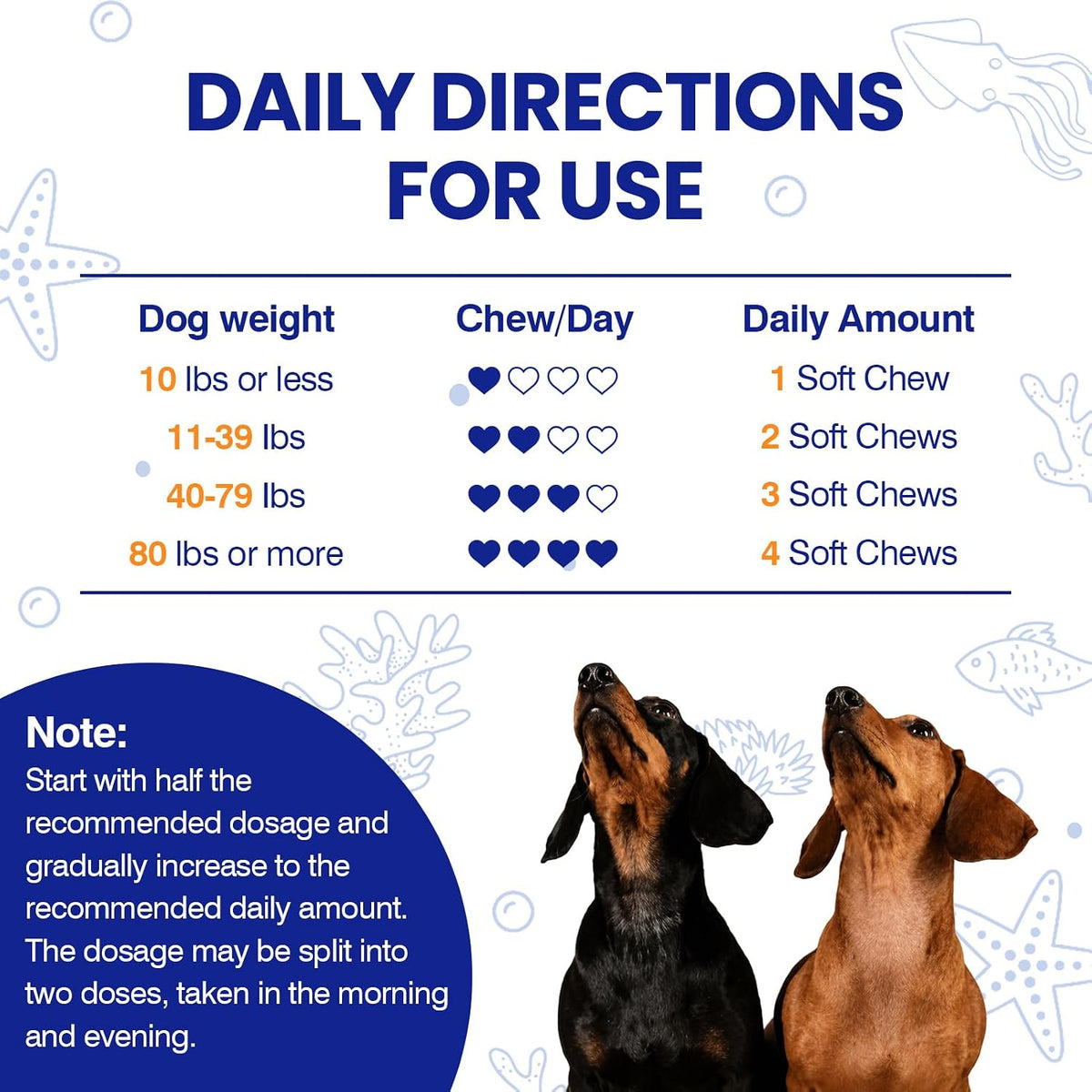TTLXBL Omega 3 Fish Oil Supplement for Dogs – Allergy and Itch Relief: For dogs with environmental or seasonal – Image 7