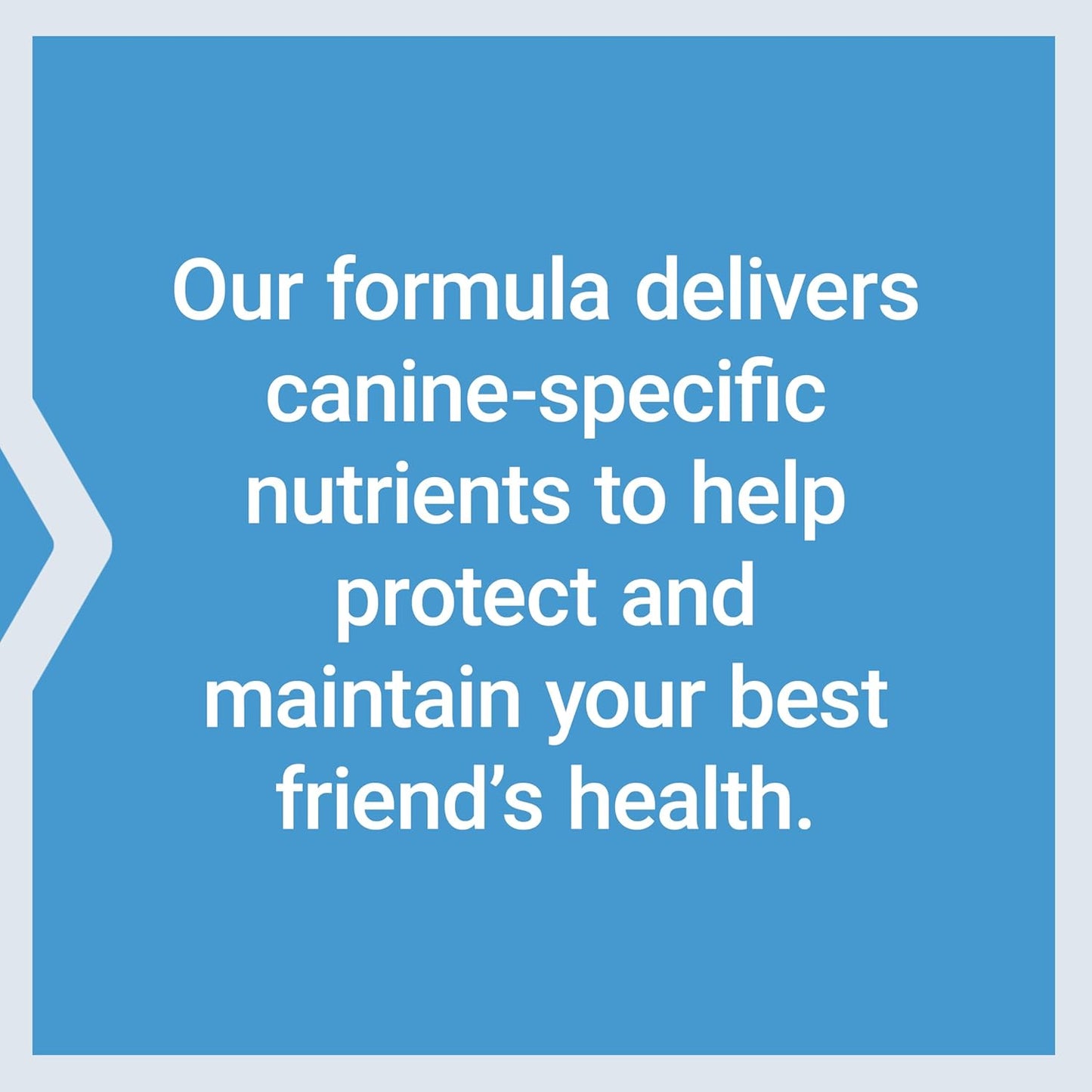 Life Extension Dog Mix - Multivitamin Supplement for Dogs with Probiotics and L-Carnitine - görsel 7