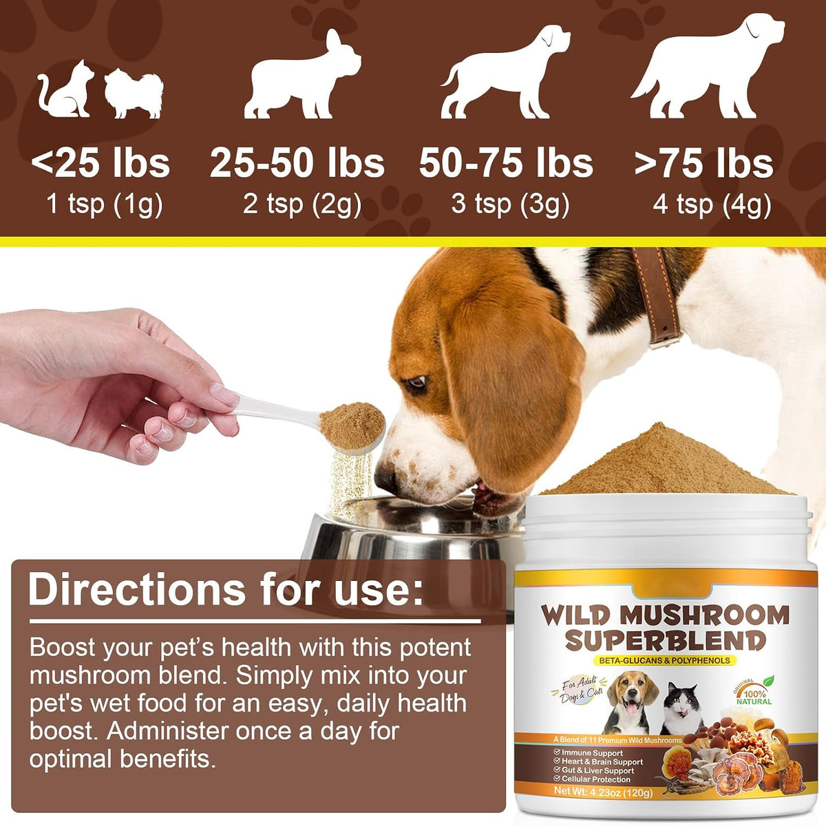 Mushroom Supplement Powder for Dogs & Cats - – Reishi (Ganoderma lucidum): Known as the 'mushroom of immortality,' – Image 6
