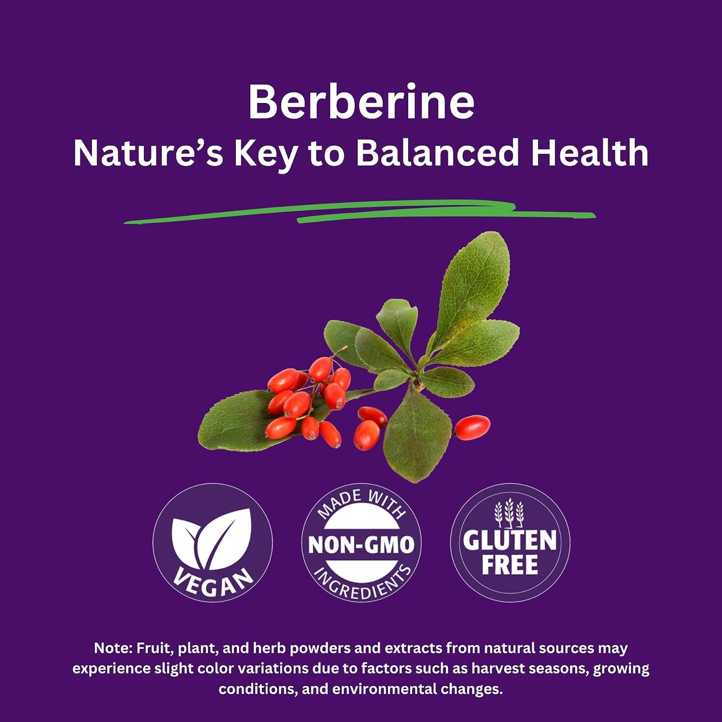 Paradise Herbs Berberine Extract 500 mg – Pure & Potent Supplement, 180 Vegan Capsules - görsel 2