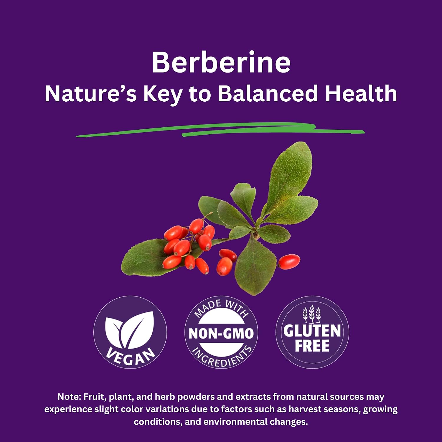 Paradise Herbs Berberine Extract 500 mg – Pure & Potent Supplement, 180 Vegan Capsules - görsel 2