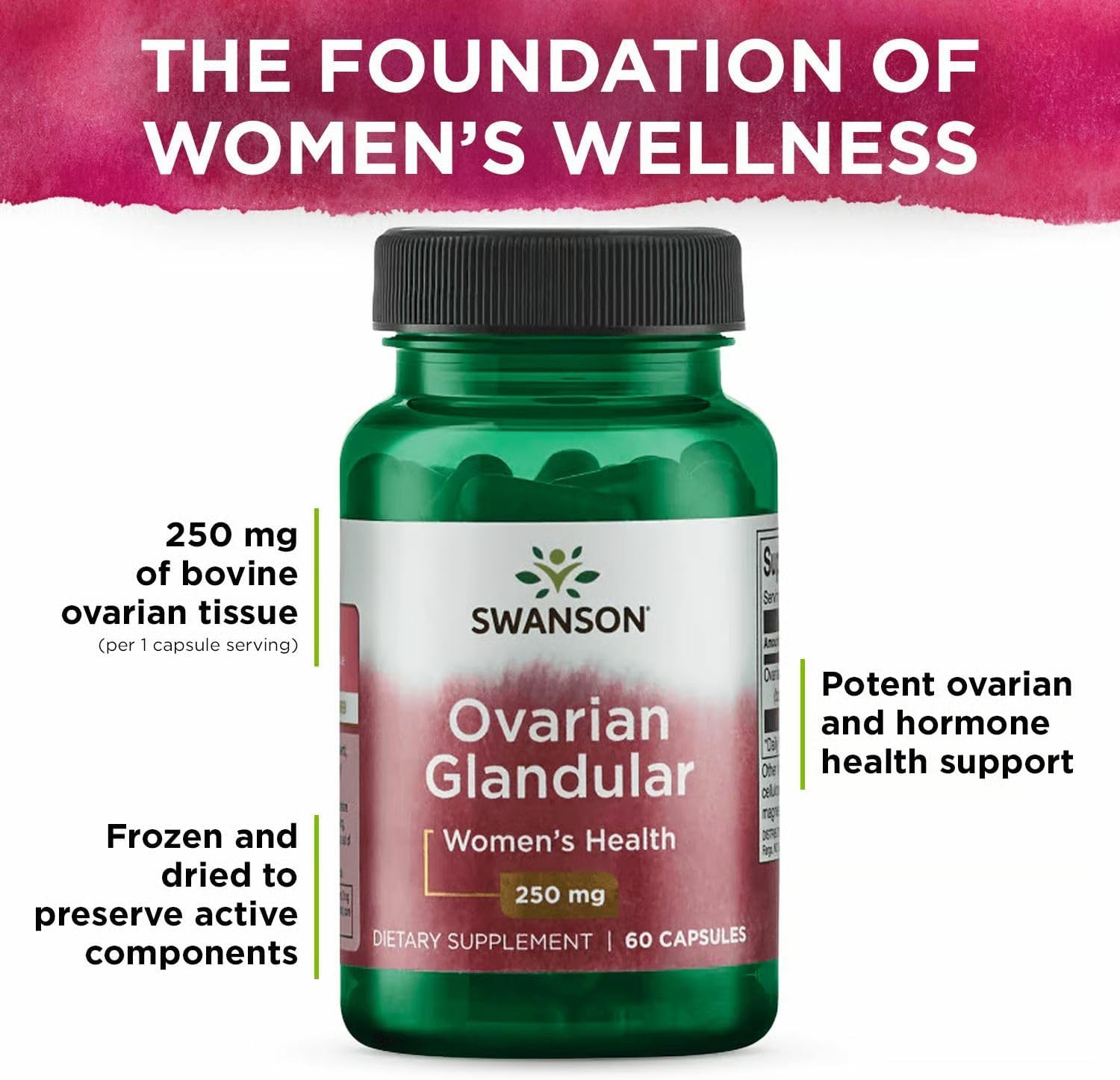 Swanson Ovarian Glandular – Natural Women's Glandular Health Supplement (60 Capsules, 250 mg Each, 3-Pack) - görsel 5