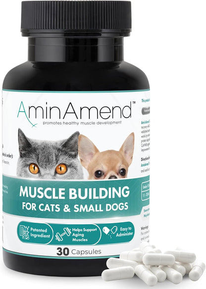 AminAmend Muscle Support Pet Supplement for Small Dogs and Cats with CaHMB and Vitamin D3 – 30 Capsules – Image 1