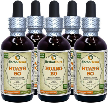 HerbalTerra Huang Bo (Phellodendron Chinense) Glycerite - Alcohol-Free Liquid Extract, 5x60 mL