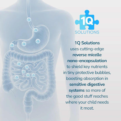 1Q Kids’ All-in-One Health Kit | Focus, – Focus Support: 1Q Focus is designed to promote mental clarity and – Image 2
