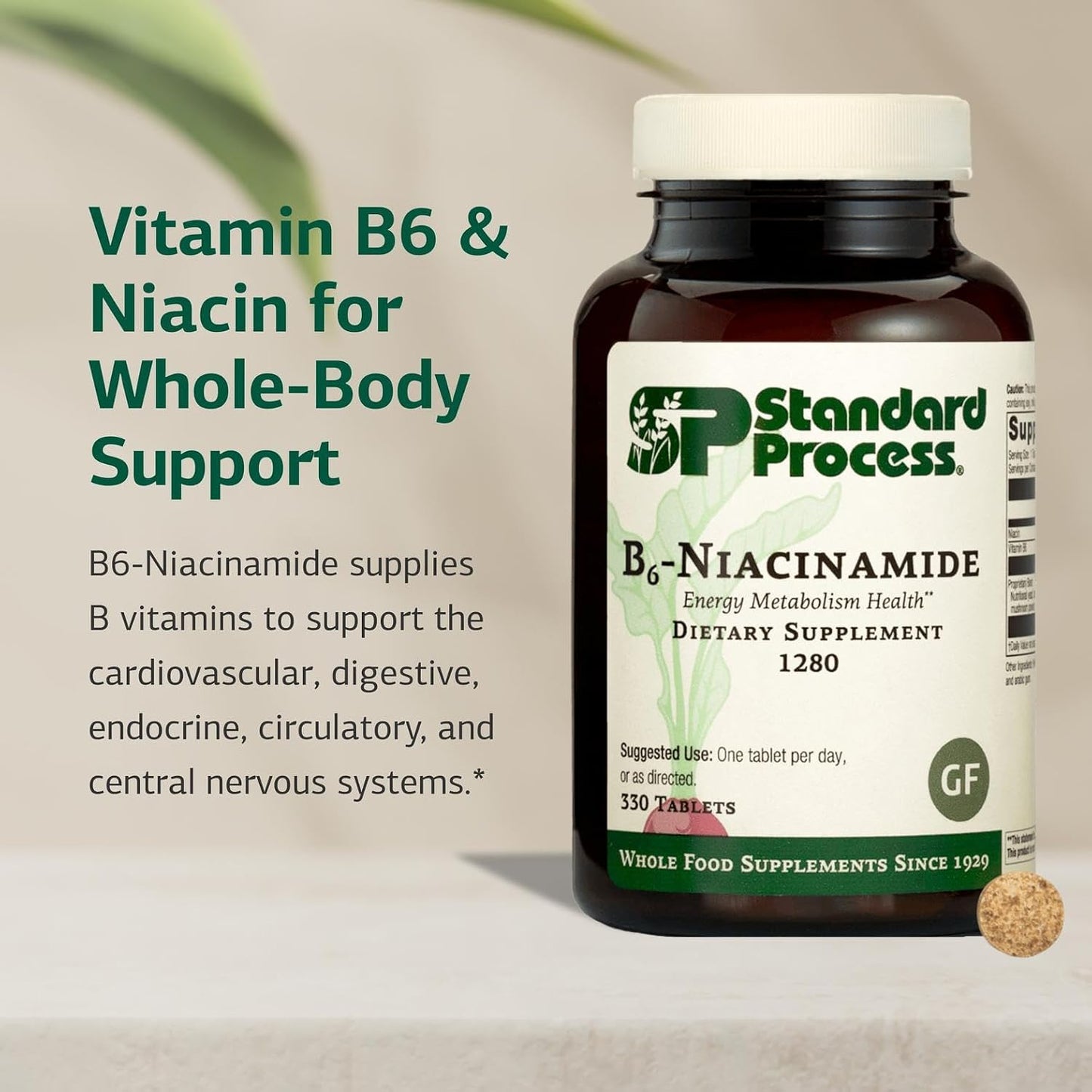 Standard Process B6-Niacinamide – 330 Tablets - görsel 3