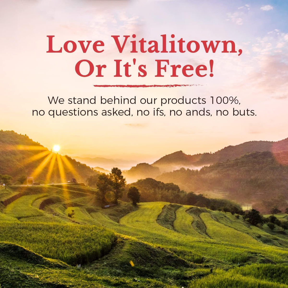 Vitalitown Vitamin B12 (Methyl B12) 5000 – Clean Ingredients: Free from artificial fillers, preservatives, and – Image 9