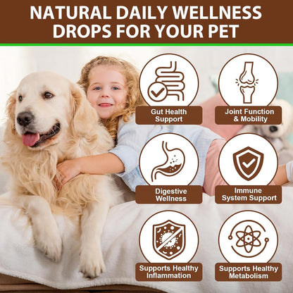 Turkey Tail Mushroom for Dogs, – Joint comfort: Turmeric's natural properties may help maintain joint flexibility – Image 3