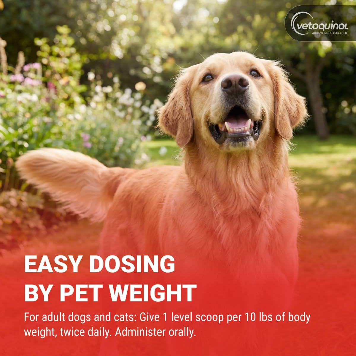 Vetoquinol Renal K - Potassium Supplement Powder for Dogs & Cats - Supports Kidney Health - 100 g - görsel 5
