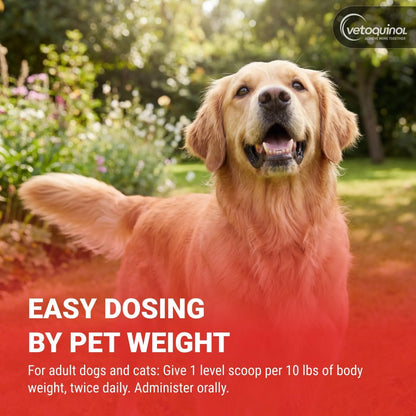 Vetoquinol Renal K - Potassium Supplement Powder for Dogs & Cats - Supports Kidney Health - 100 g