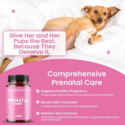 Kilab Complete Prenatal Vitamins for Dogs – – Zinc – Essential for immune function, skin health, and proper – Image 3