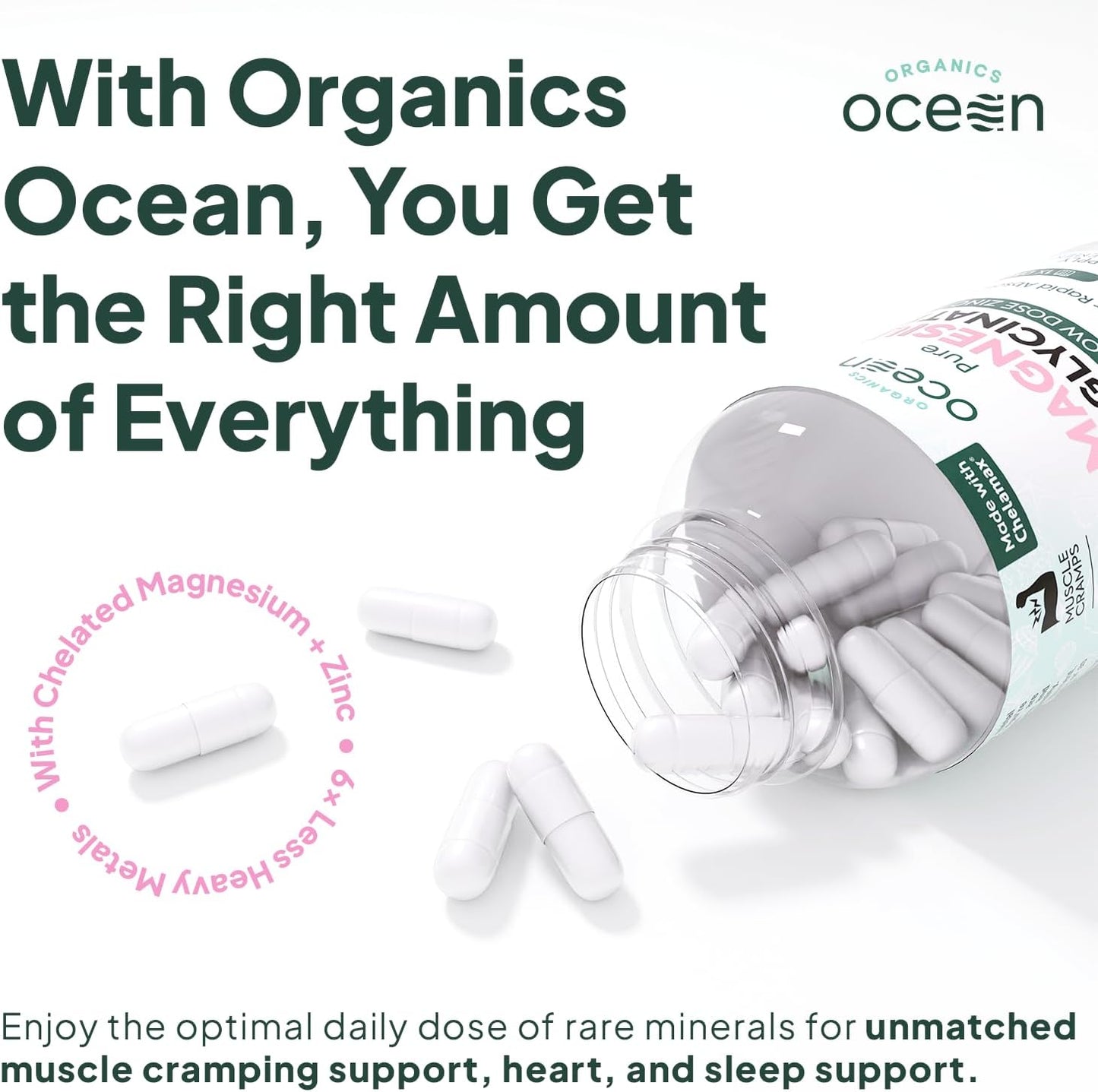 Organics Ocean Pure Magnesium Glycinate with Zinc – Chelated Magnesium for Sleep and Muscle Support – 6 Bottles - görsel 3