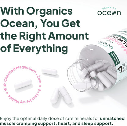 Organics Ocean Pure Magnesium Glycinate with Zinc – Chelated Magnesium for Sleep and Muscle Support – 6 Bottles