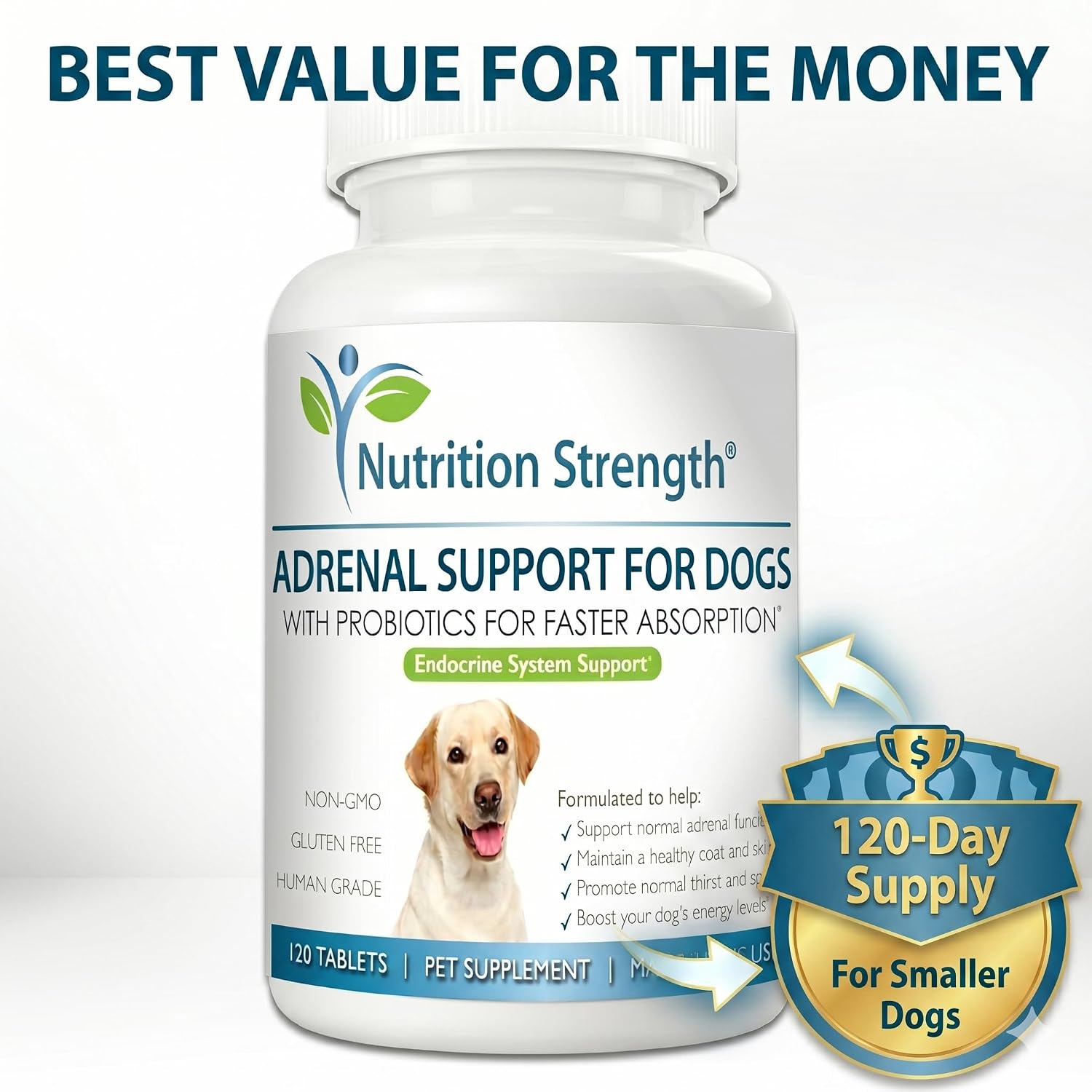Adrenal Support for Dogs with Cushing's Disease - 120 Herbal Chewable Tablets - görsel 4