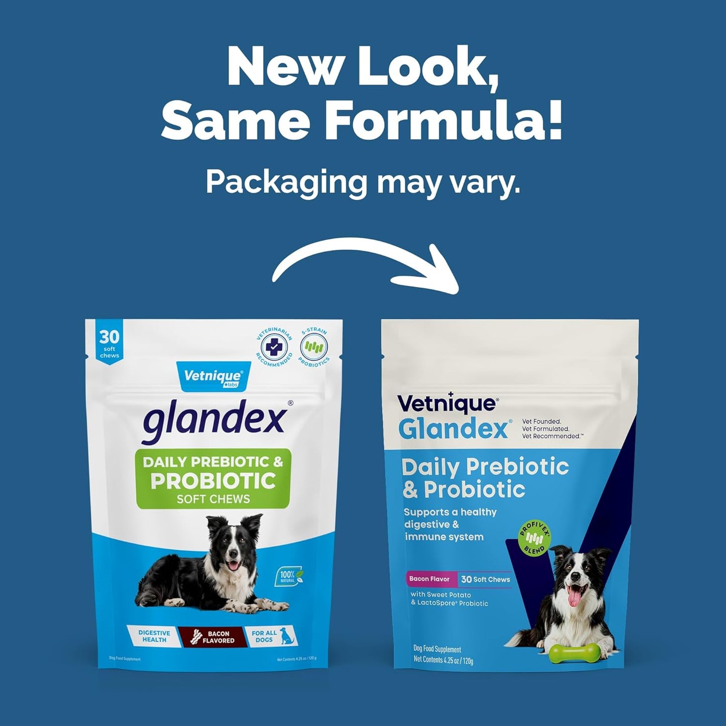 Vetnique Glandex Daily Probiotic Chews for Dogs – Gut & Immune Health (30ct) - görsel 2