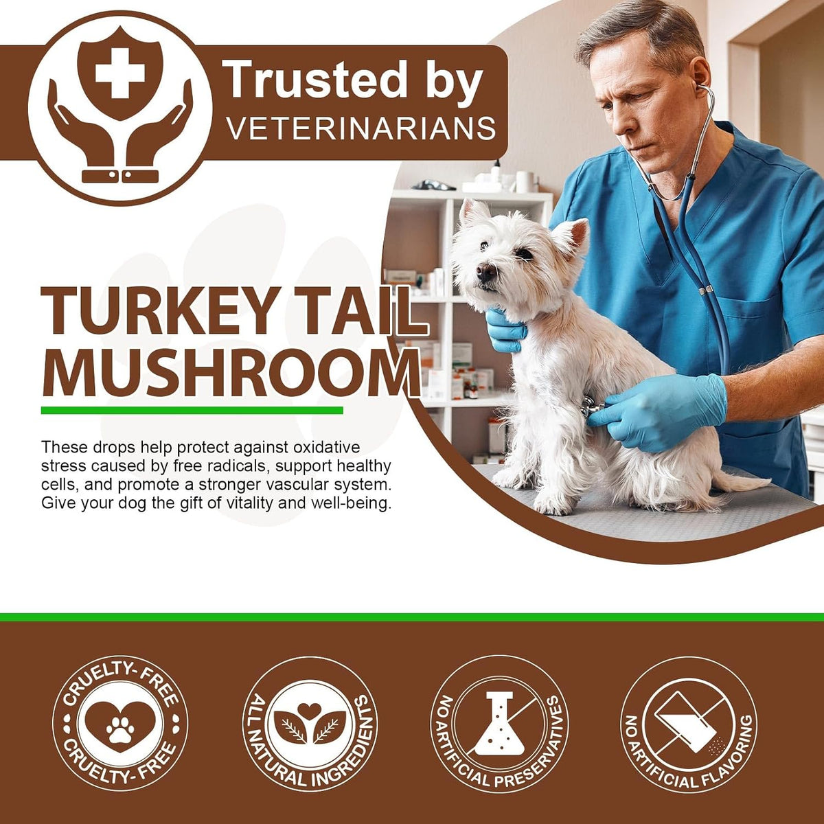 Turkey Tail Mushroom for Dogs, – Turmeric: Contains curcumin, which provides antioxidant support and may promote – Image 7