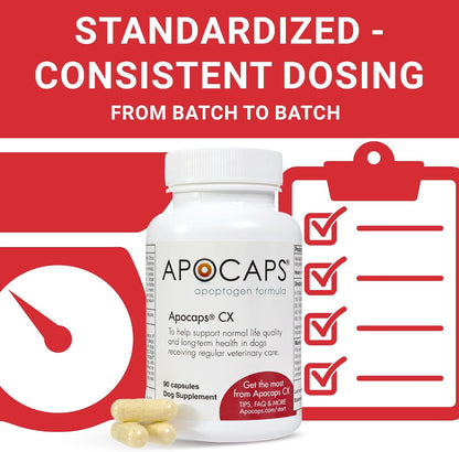 Apocaps CX Vet-Formulated Apoptogen Formula for Dogs - Milk Thistle, Turmeric, Apigenin & Luteolin - Supports Normal Apoptosis, Immune & Liver Function - Senior Dogs - 90 Capsules