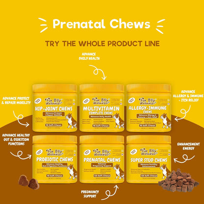 Dog Prenatal Vitamins for Pregnant & Nursing – Folic Acid (Folate): Critical for DNA synthesis and cell division. – Image 8
