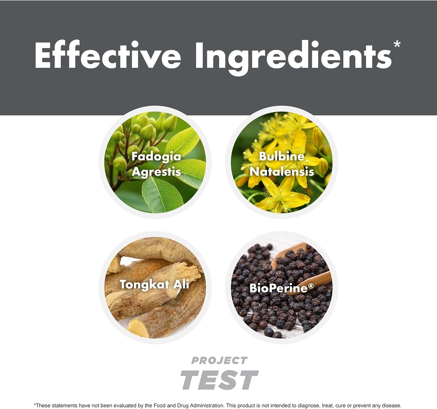 Anabolic Warfare Project Test – Testosterone Support Supplement with Botanicals - görsel 6