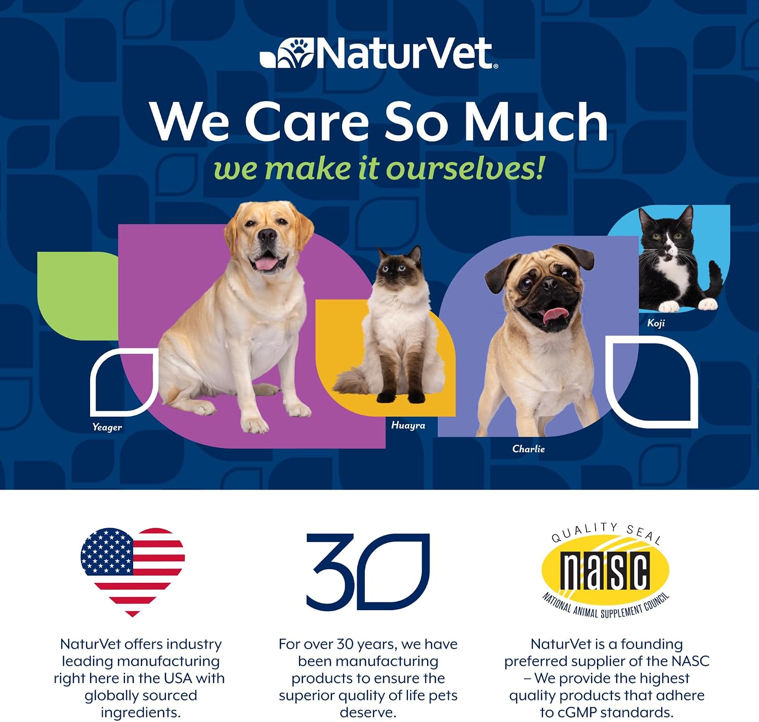 NaturVet – Salmon Oil Skin & Coat Plus Omegas | Supports Healthy Skin & Glossy Coat | Natural Source of Omega-3 & 6 Fatty Acids | for Dogs & Cats (500 mL Oil) - görsel 7