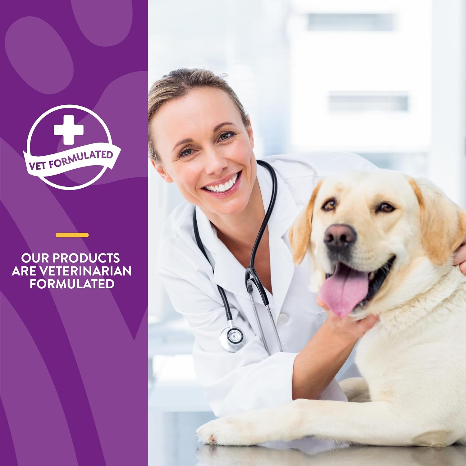 NaturVet VitaPet Adult Daily Vitamins for Dogs with Breath Aid, 60 Count - görsel 6