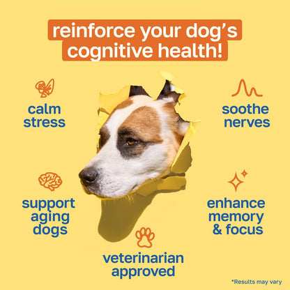 Happy Paws Cognitive Taurine Supplement for – Promotes calmness and mental clarity: The formulation can have a – Image 2