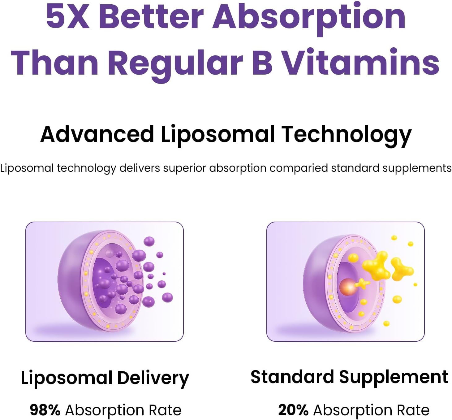 Liposomal Vitamin B Complex Liquid with Methylated B12, B1, B2, B3, B5, B6, Folate, Biotin - Energy & Immune Support, 240 mL - görsel 3