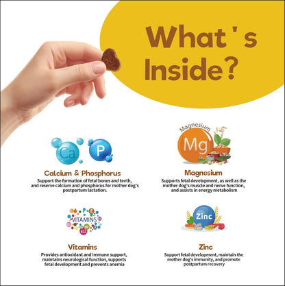 Dog Prenatal Vitamins for Pregnant & Nursing – Contributes to immunity and healthy skin: Antioxidants like – Image 4